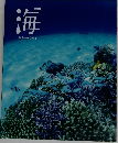 海　生命のみなもと