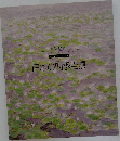 日本の四季百景