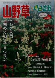 山野草とミニ盆栽　Vol.62
