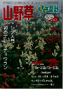 山野草とミニ盆栽　Vol.62