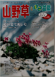 山野草とミニ盆栽　2004　vol.45