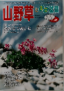 山野草とミニ盆栽　2004　vol.45