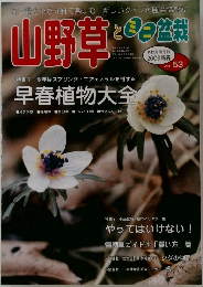 山野草とミニ盆栽　VOL.53