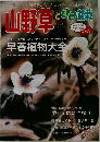 山野草とミニ盆栽　VOL.53