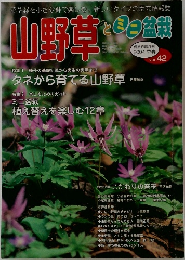 山野草とミニ盆栽 Vol.42　2004年早春号