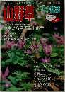 山野草とミニ盆栽 Vol.42　2004年早春号