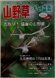 山野草とミニ盆栽 Vol.54　2006年早春号