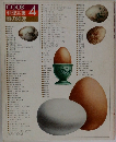 料理全集 4　卵の料理