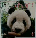 パンダ！　2008年8月号