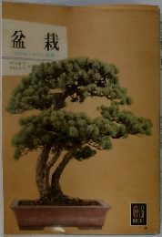 盆栽