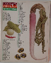 COOK料理全集 10 漬けものと保存食