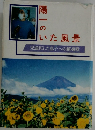 陽一のいた風景