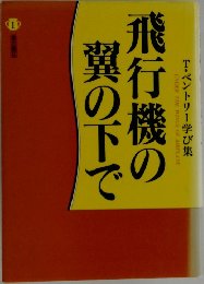 飛行機の翼の下で