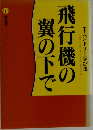 飛行機の翼の下で