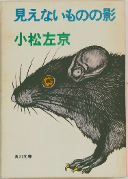 見えないものの影