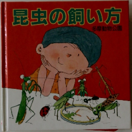 昆虫の飼い方