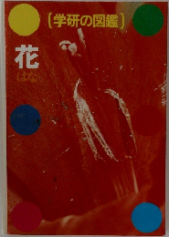 学研の図鑑　花