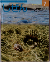 キンダーブック　しぜん　7　しおだまり