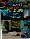 HAWAI'I'S  Animals &  WILDLIFE