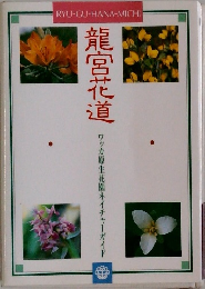 龍宮花道