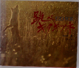 Ezo　FOX　跳べキタキツネ 