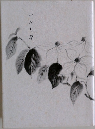 いかり草