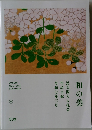 和の美 思文閣大入札会 2025年3月号