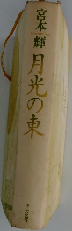 月光の東