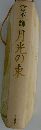 月光の東