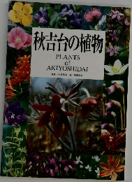 秋吉台の植物