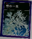 雪の一生