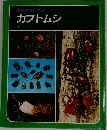 カブトムシ
