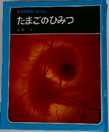 たまごのひみつ