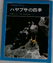 科学のアルバム ハヤブサの四季