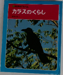 カラスのくらし