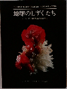 地球のしずくたち