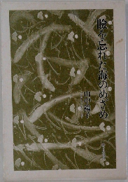 瞼を忘れた海のめざめ