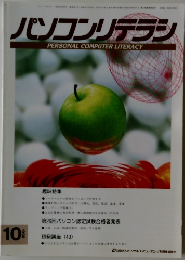 パソコンリテラシ  PERSONAL COMPUTER LITERACY  1996 10