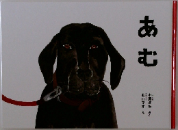 あむ