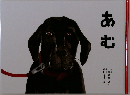 あむ