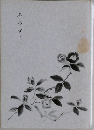 みみな草