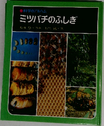 科学のアルバム  ミツバチのふしぎ