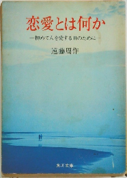 恋愛とは何か　初めて人を愛する日のために