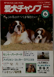 愛犬チャンプ 6