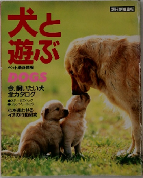 犬と遊ぶ