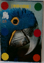 学研の図鑑  鳥