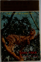 THE STORY OF A CHEETAH