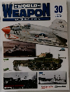 WEAPON　30