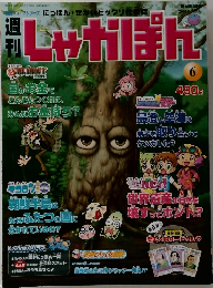 週刊しゃかぽん　2007年5/6号