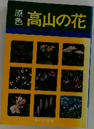原色　高山の花